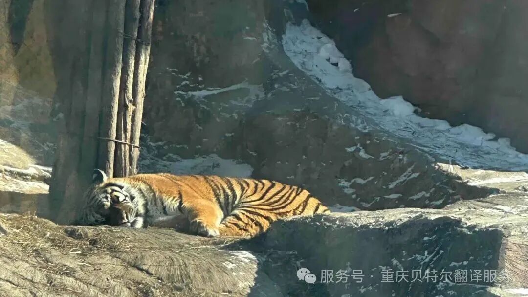 微信图片_2026-03-04_135515_828.jpg